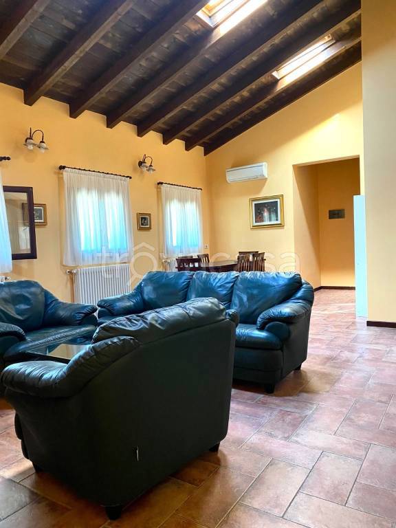 immagine annuncio 5 di 8