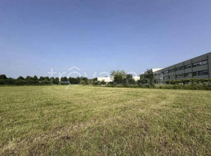 immagine annuncio 5 di 9