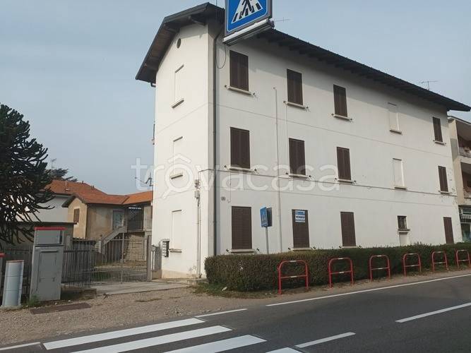 immagine annuncio 12 di 14