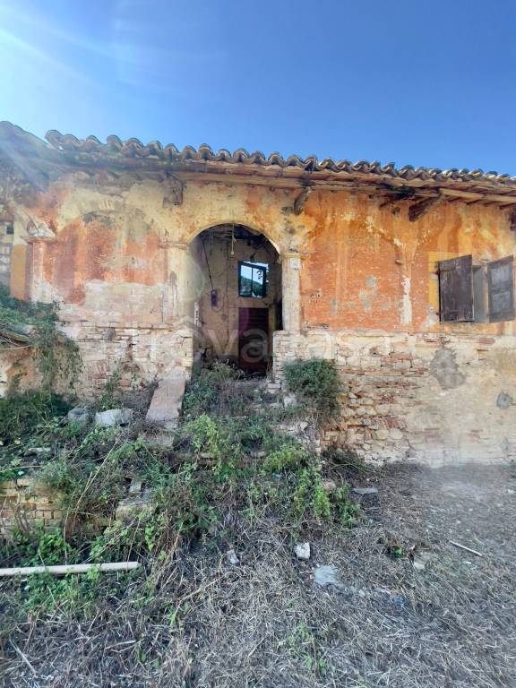 immagine annuncio 4 di 12