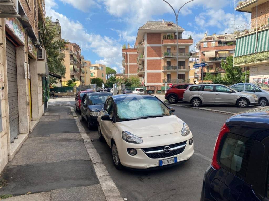 immagine annuncio 13 di 14