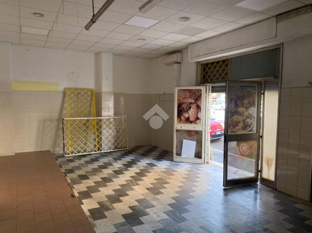 immagine annuncio 11 di 14