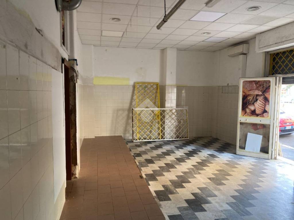 immagine annuncio 10 di 14