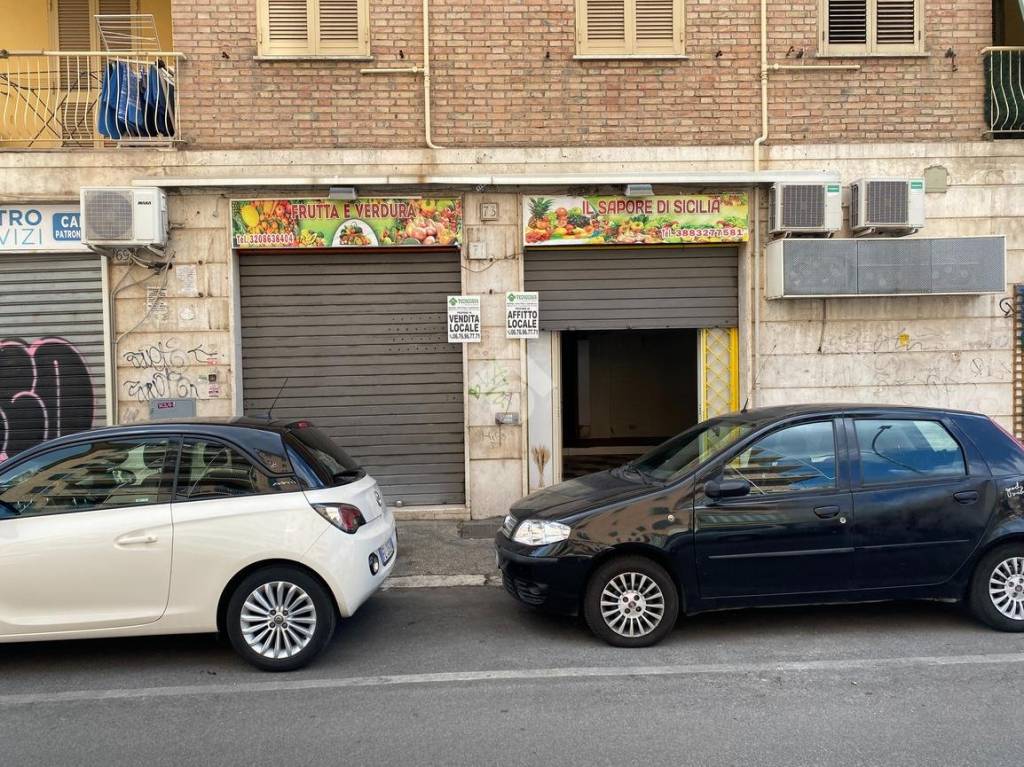 immagine annuncio 1 di 14