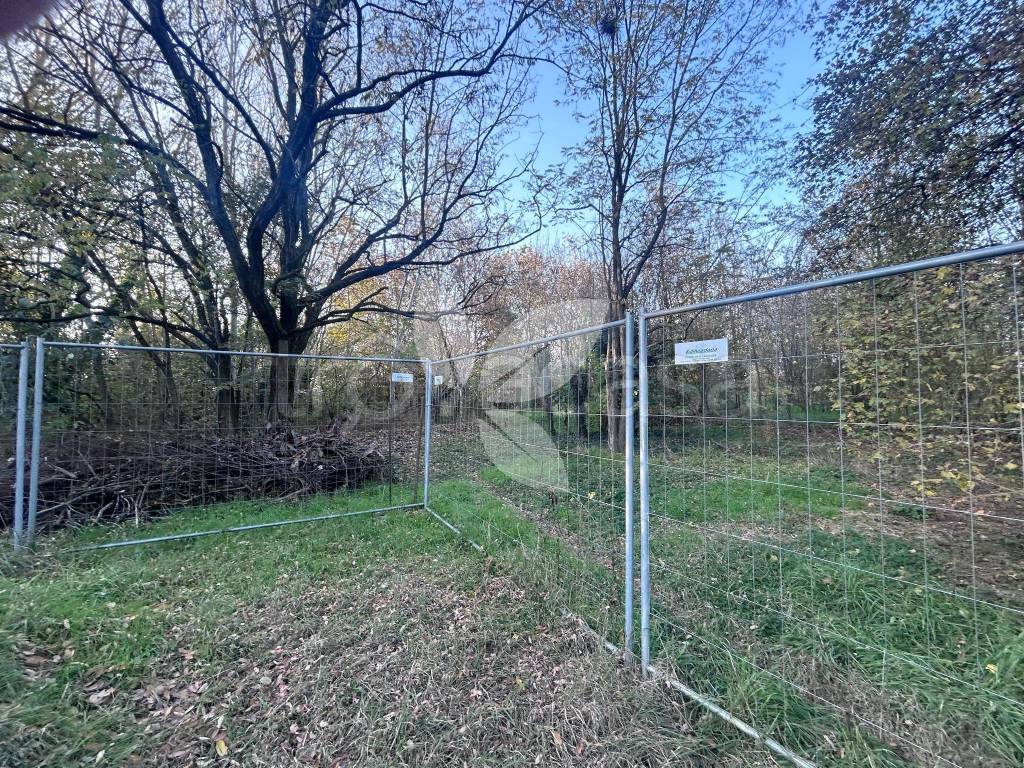 immagine annuncio 5 di 12