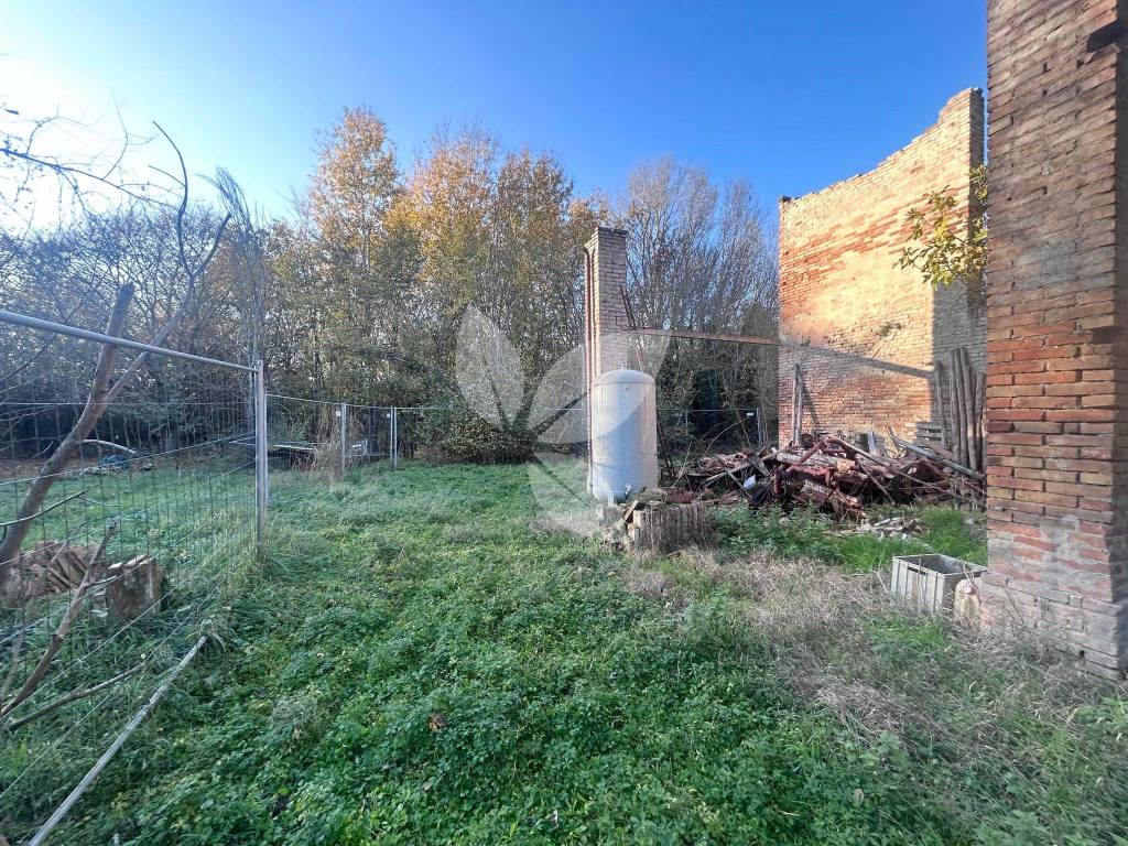 immagine annuncio 6 di 12