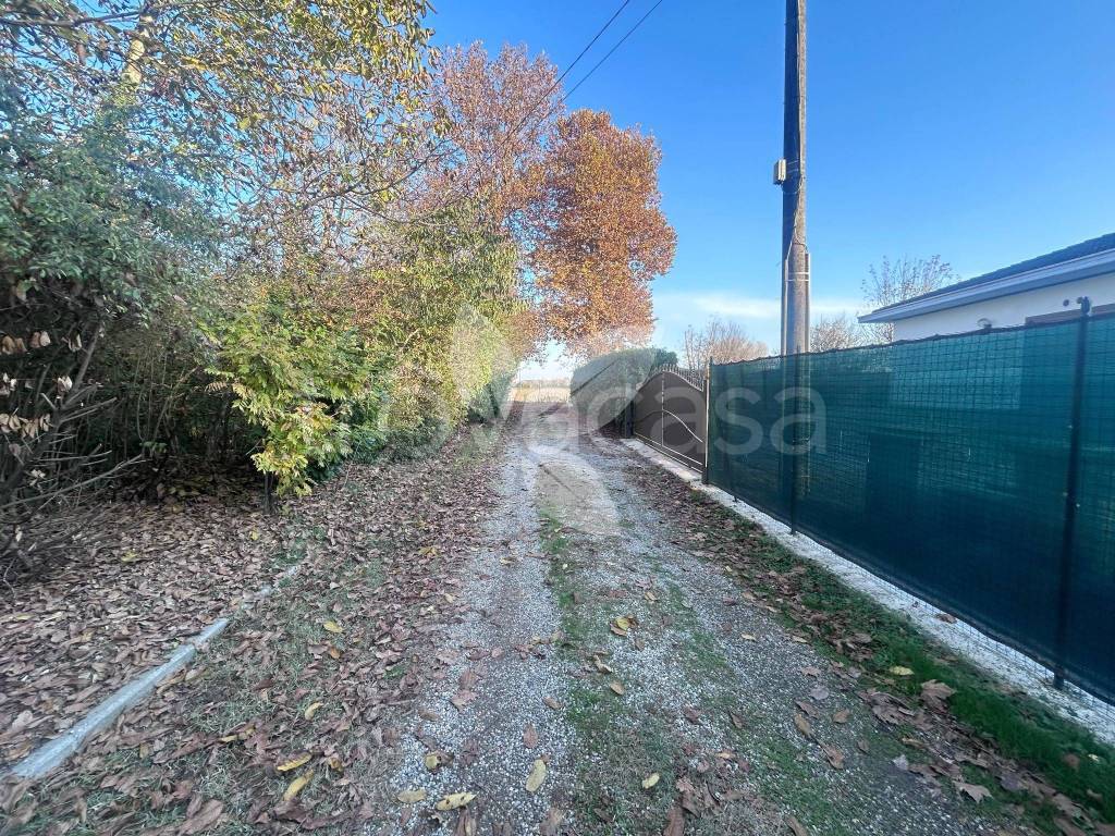 immagine annuncio 8 di 12