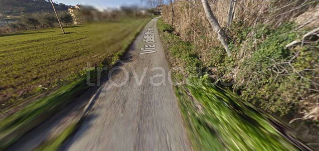 immagine annuncio 11 di 14