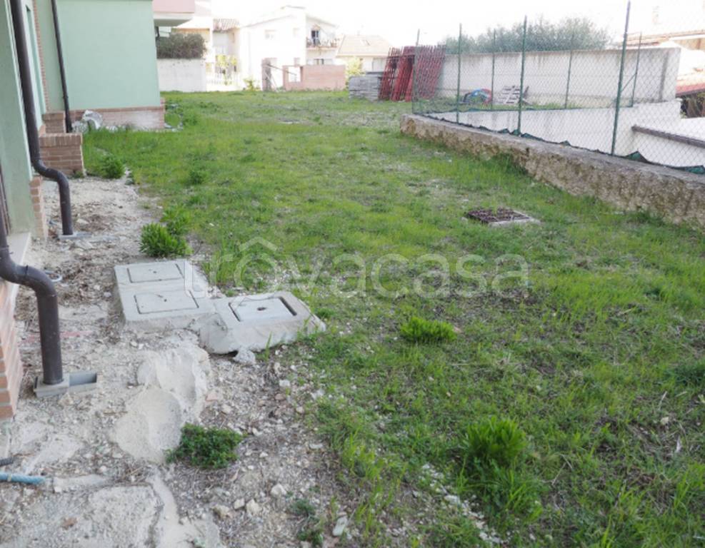 immagine annuncio 2 di 12