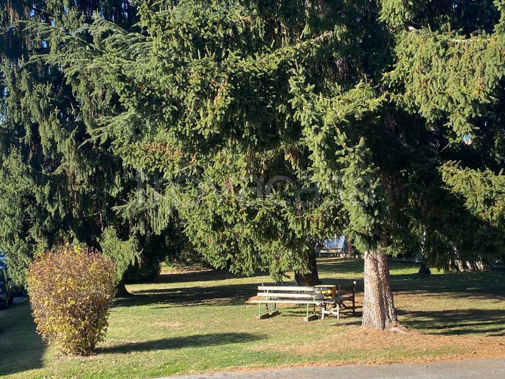 immagine annuncio 13 di 14