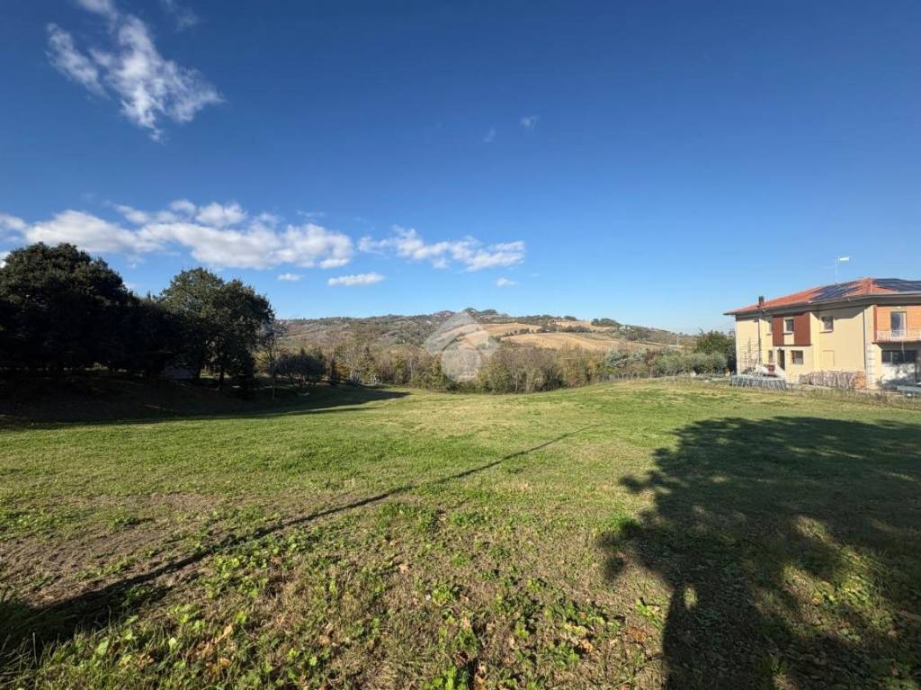 immagine annuncio 3 di 7