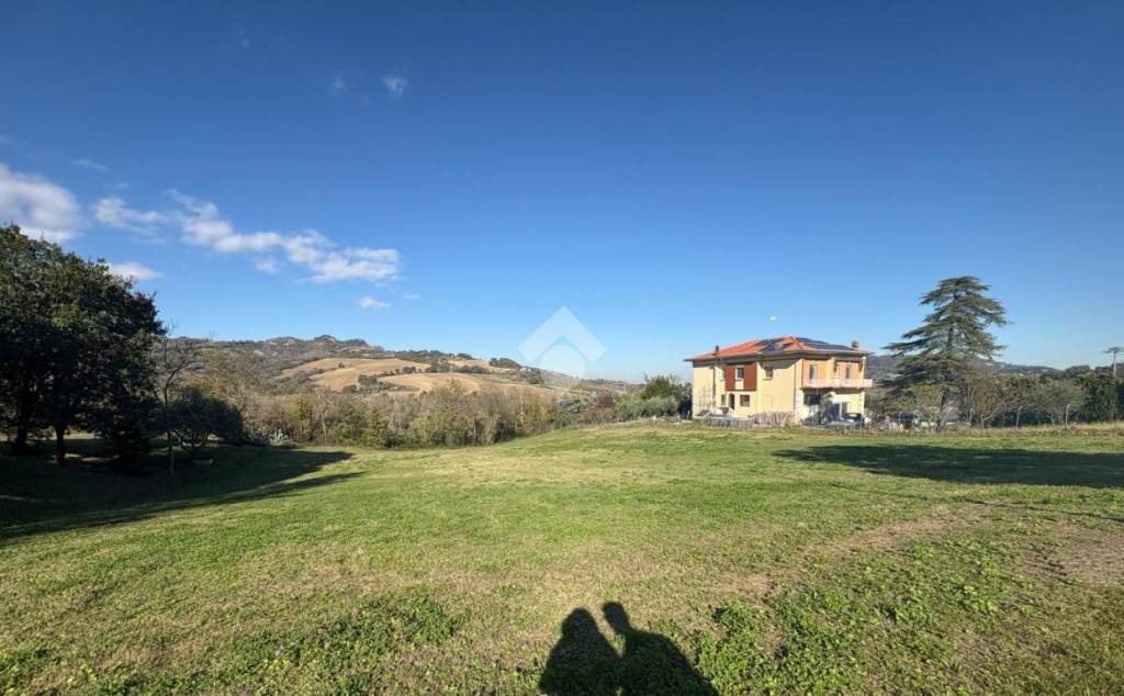 immagine annuncio 5 di 7