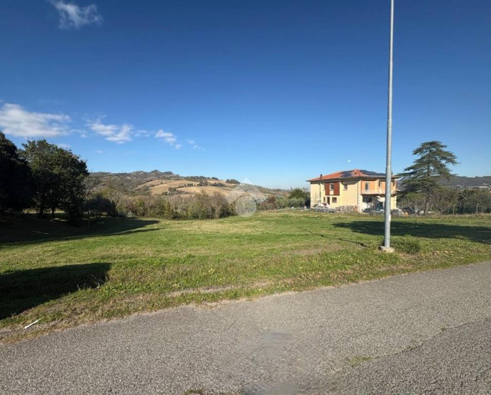 immagine annuncio 6 di 7