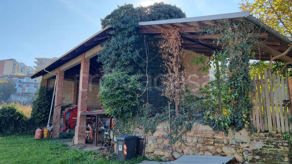 immagine annuncio 7 di 15