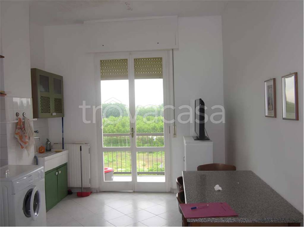 immagine annuncio 3 di 8