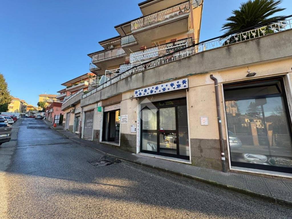 immagine annuncio 2 di 12