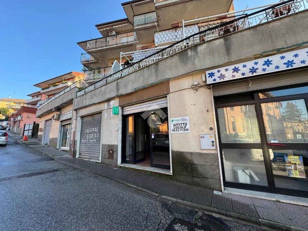 immagine annuncio 3 di 12