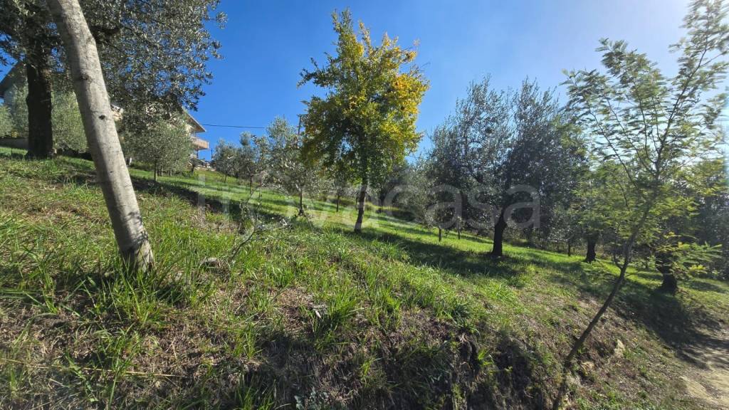 immagine annuncio 14 di 15