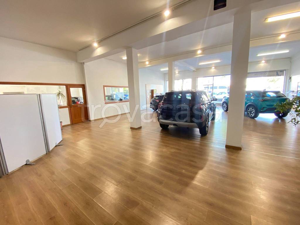 immagine annuncio 9 di 15