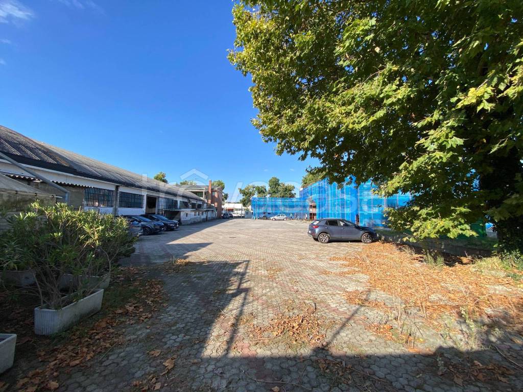 immagine annuncio 7 di 15