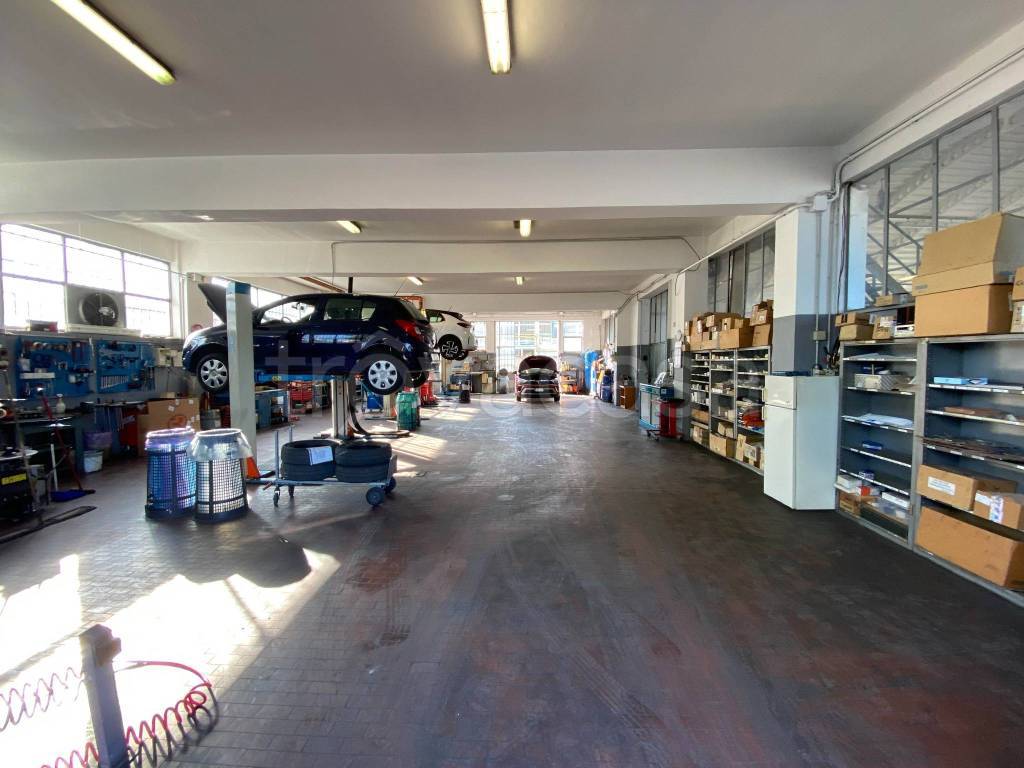 immagine annuncio 11 di 15