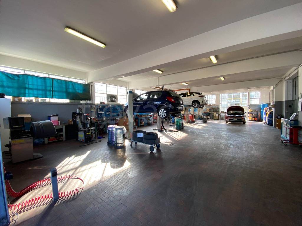 immagine annuncio 12 di 15