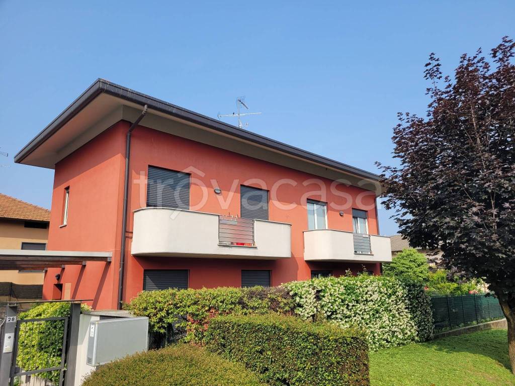 immagine annuncio 12 di 15