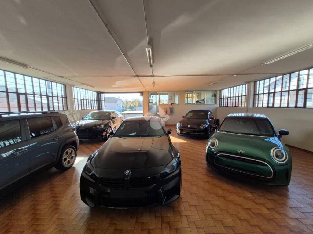 immagine annuncio 5 di 15