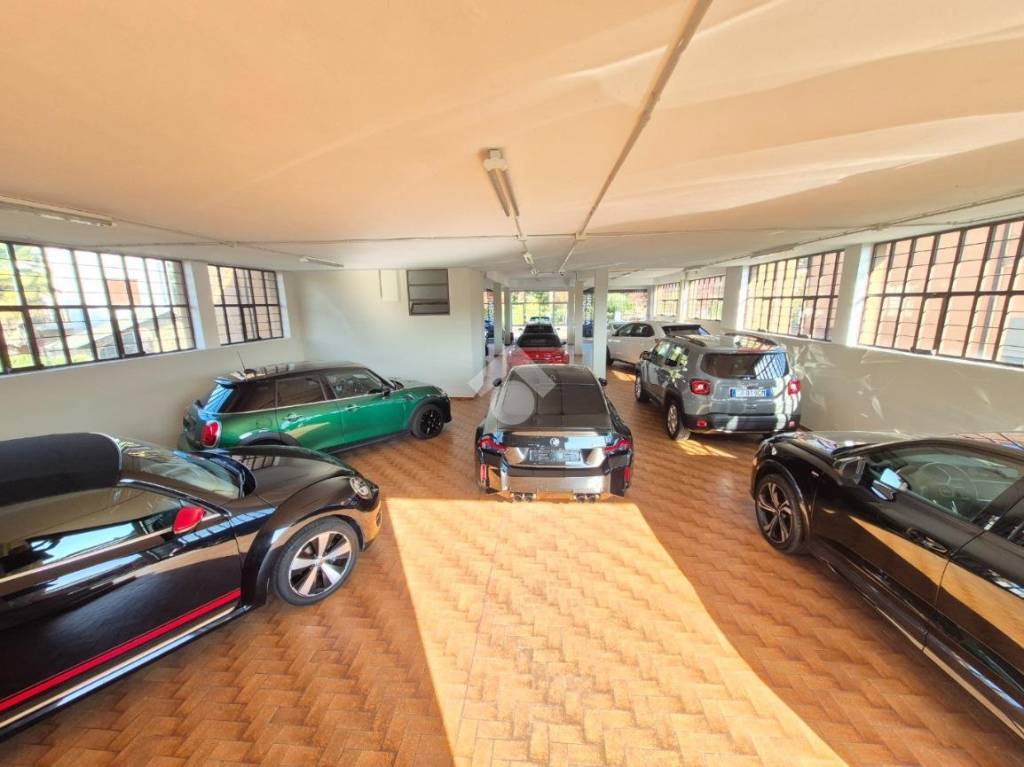 immagine annuncio 6 di 15