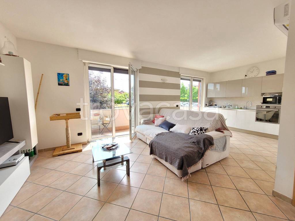 immagine annuncio 1 di 15