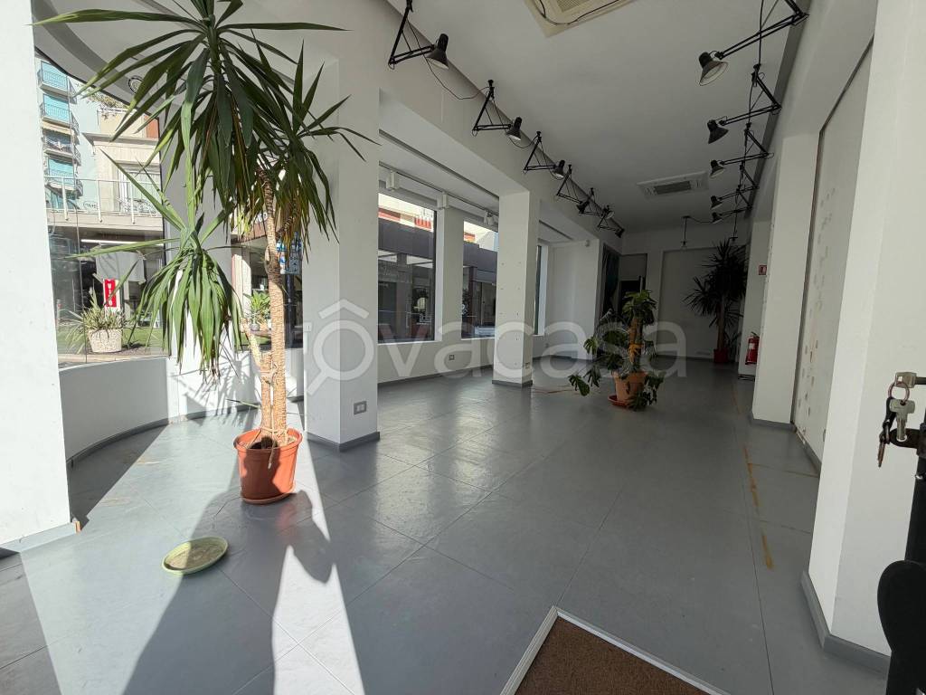 immagine annuncio 2 di 9