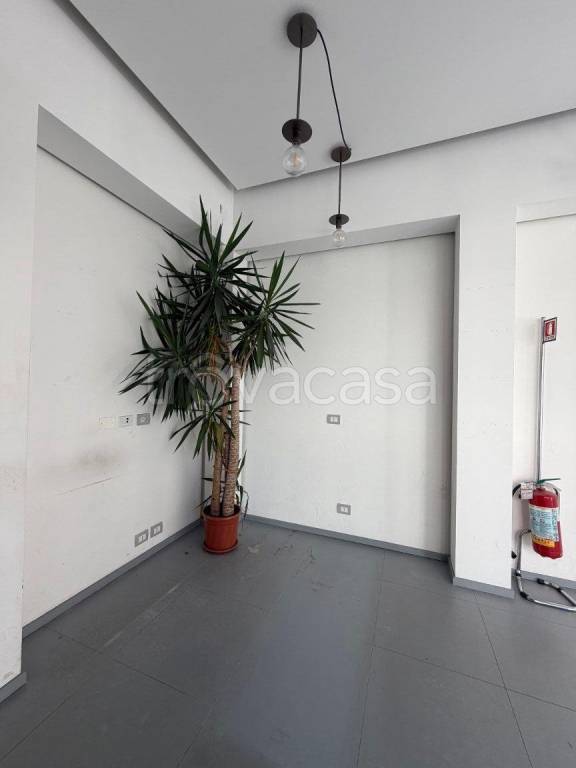 immagine annuncio 5 di 9