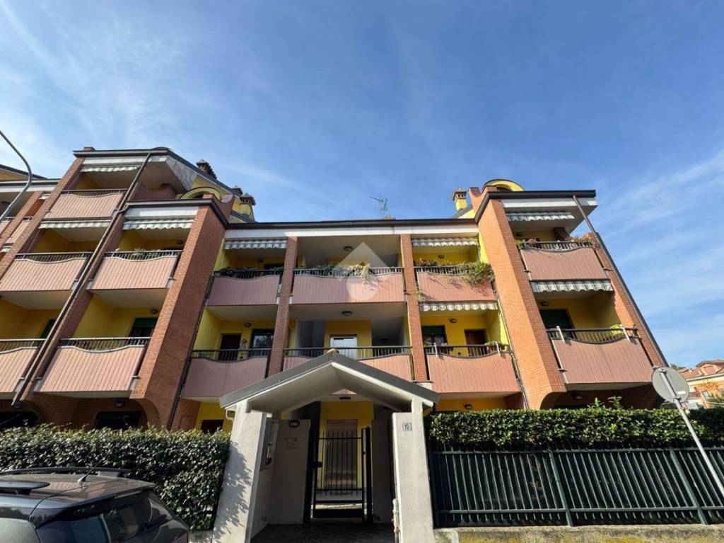 immagine annuncio 10 di 15