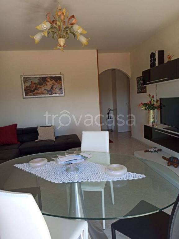 immagine annuncio 2 di 14