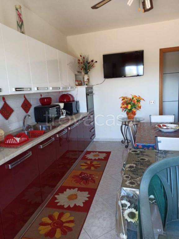 immagine annuncio 3 di 14