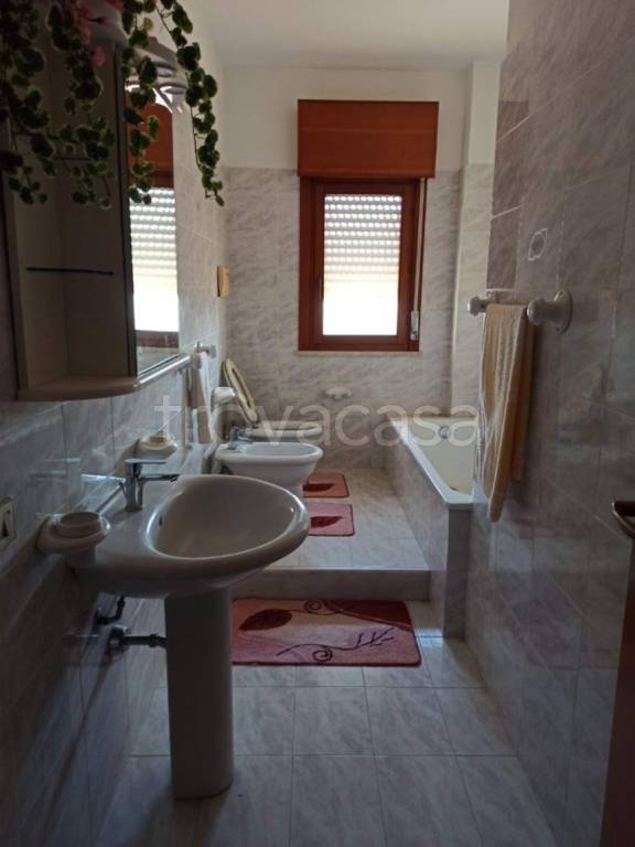 immagine annuncio 7 di 14