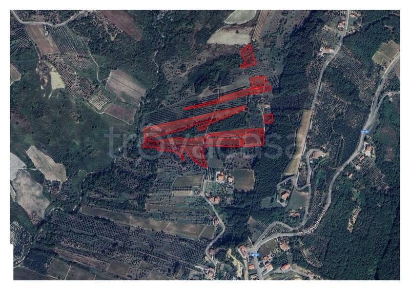 immagine annuncio 1 di 2