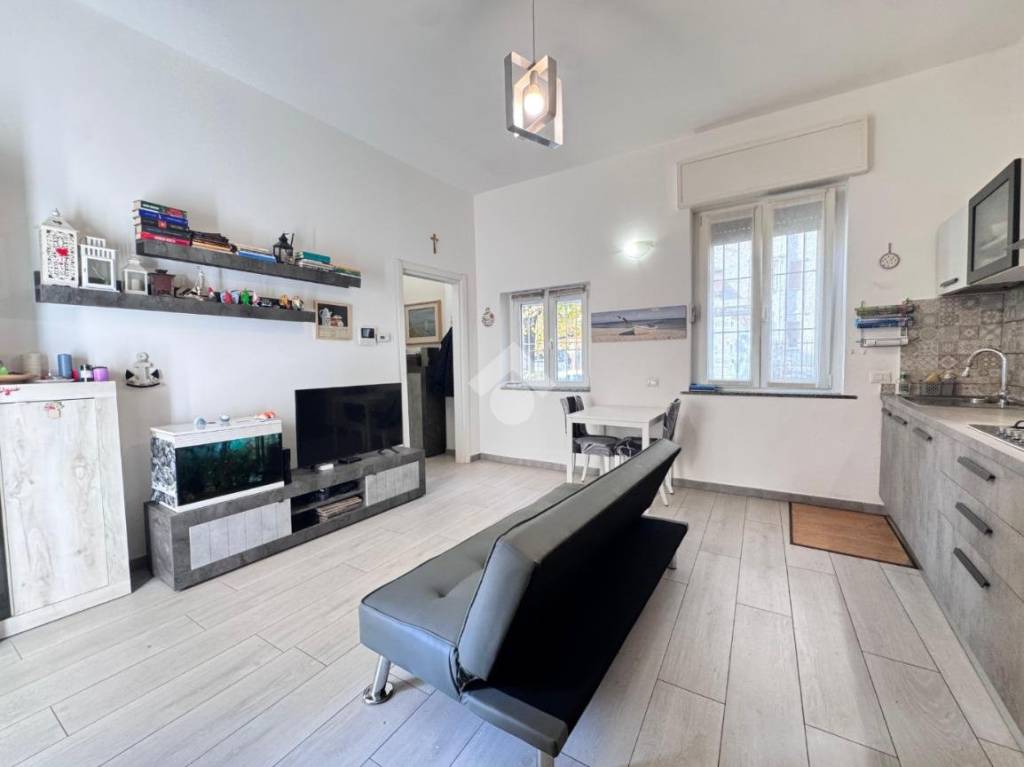 immagine annuncio 5 di 14