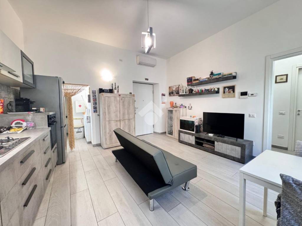 immagine annuncio 11 di 14