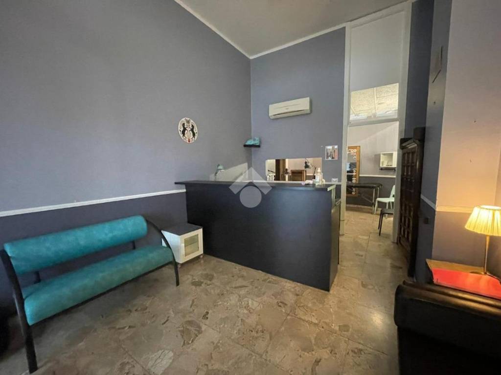 immagine annuncio 1 di 14