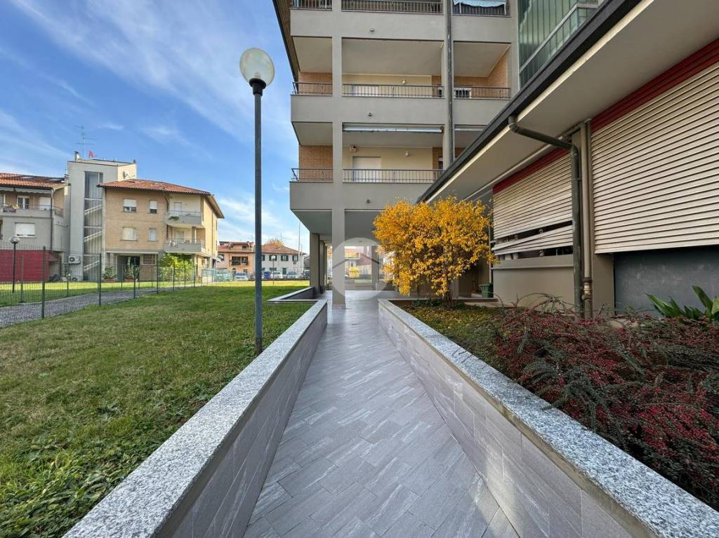 immagine annuncio 1 di 7