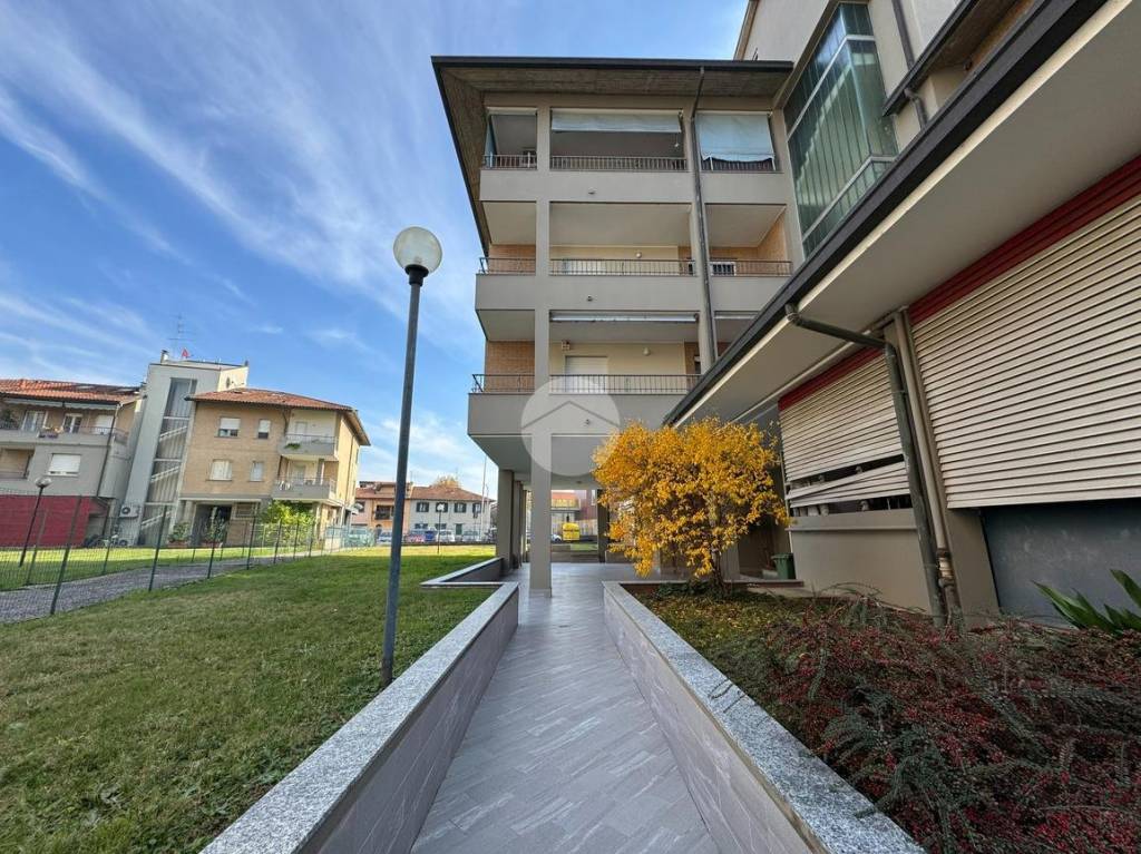 immagine annuncio 3 di 7