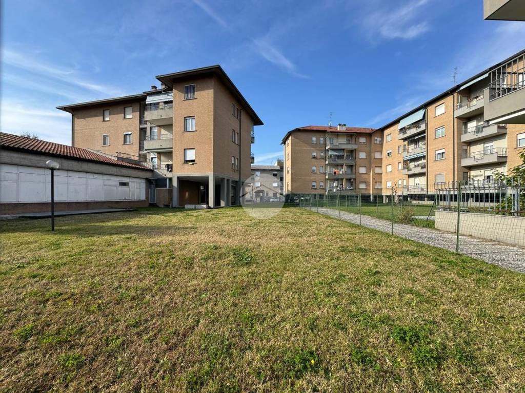 immagine annuncio 5 di 7