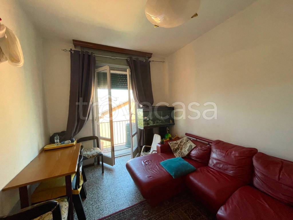 immagine annuncio 3 di 13