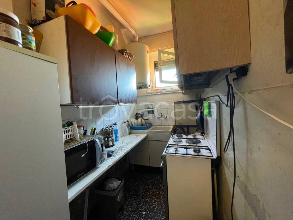 immagine annuncio 7 di 13