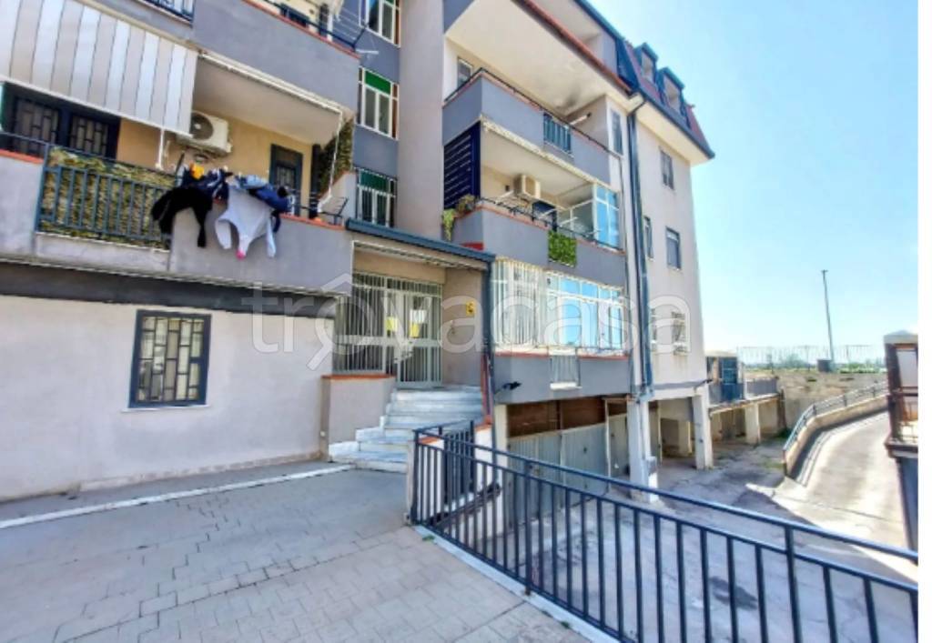 immagine annuncio 7 di 13