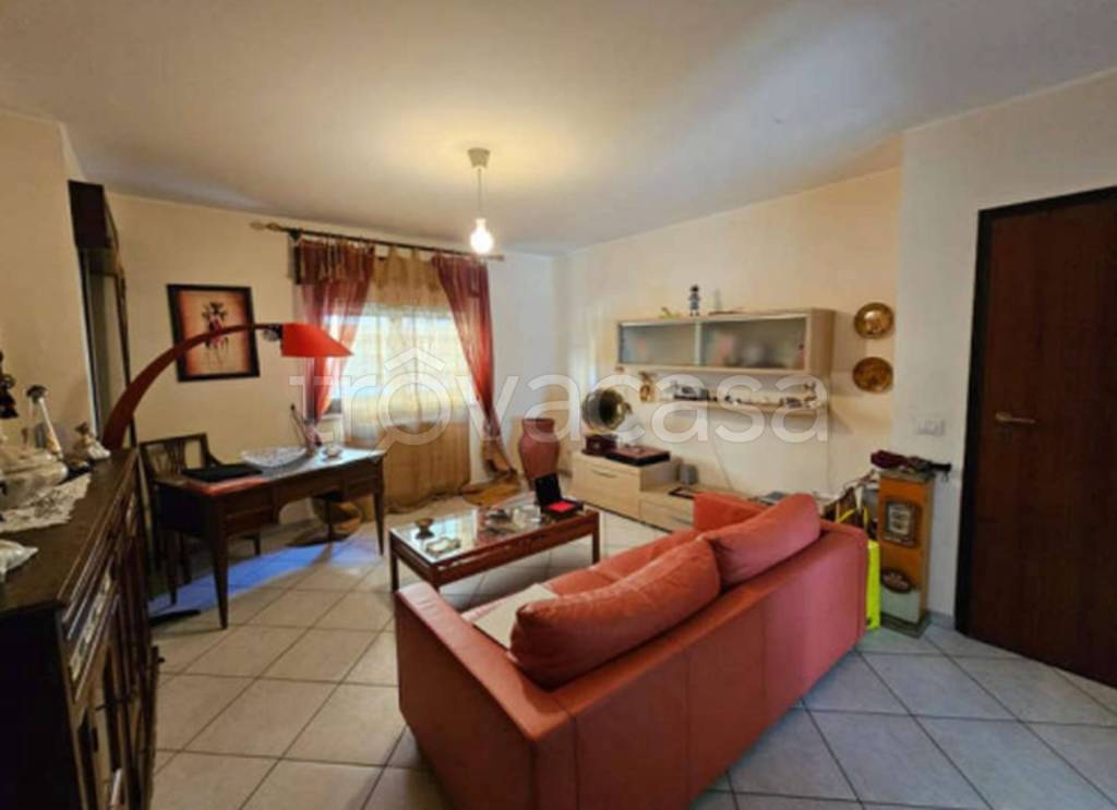 immagine annuncio 5 di 12