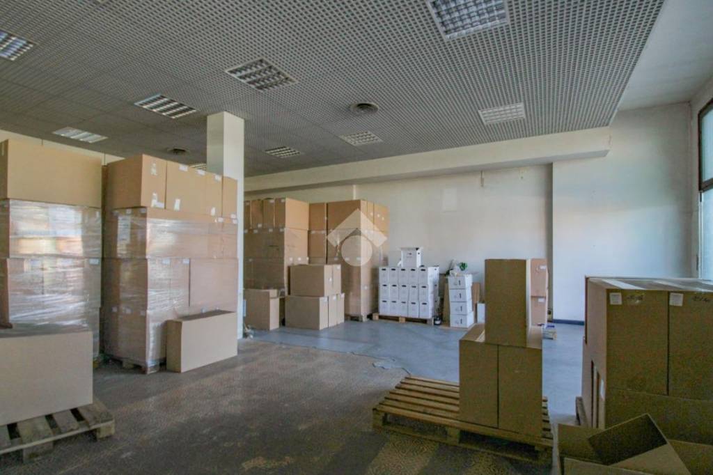 immagine annuncio 2 di 12