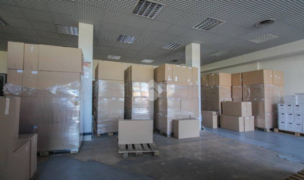 immagine annuncio 3 di 12