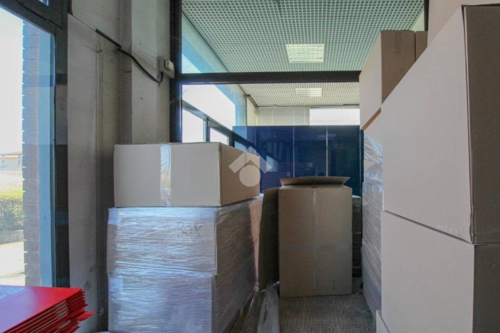 immagine annuncio 4 di 12